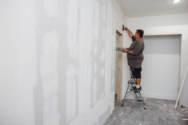 Professional Mold Removal in Phoenixville, PA